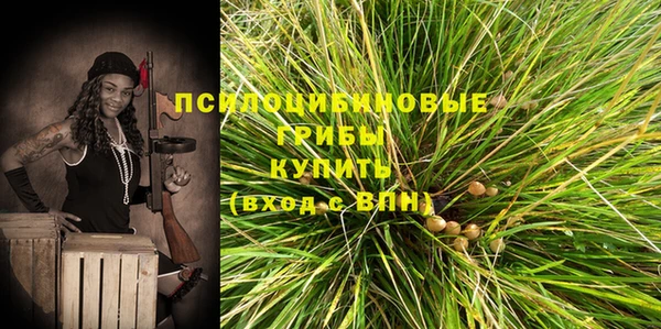 шишки Нефтекумск