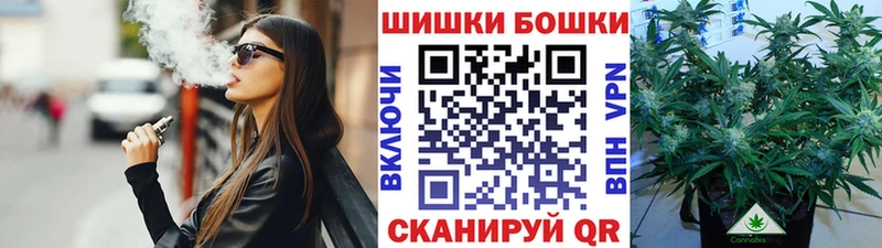 Канабис сатива  Купить  Сельцо 